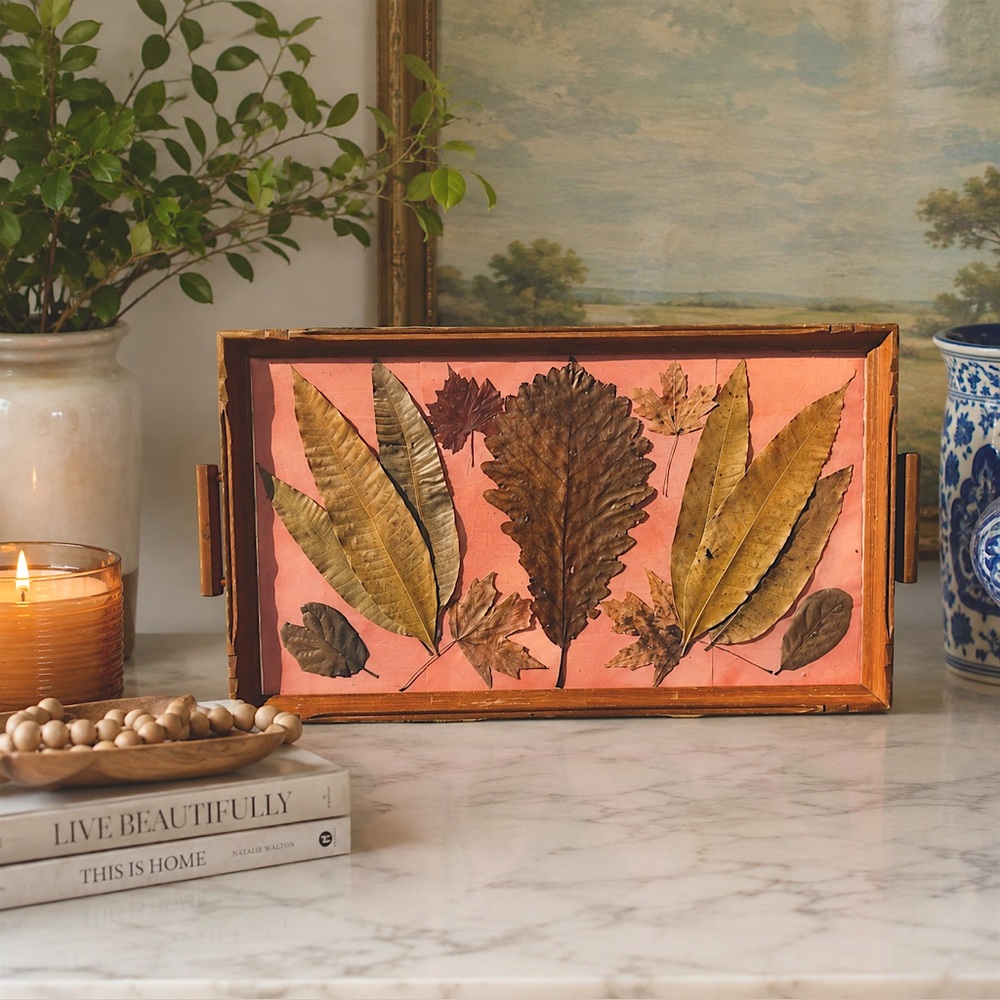 Vintage Framed Pressed Leaf & Botanical Art – Rustic Cottage Decor Cottagecore